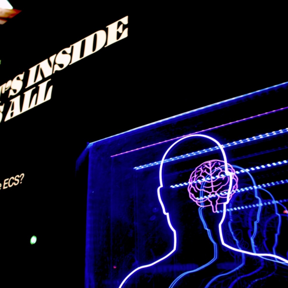 5 Psychological Effects in Marketing for Websites